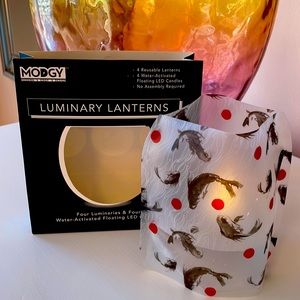 ⚫️Water Activated Luminary Lanterns
